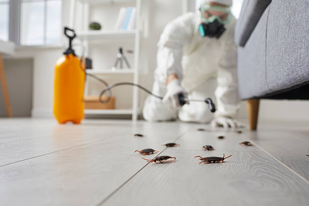 Post-Treatment Bed Bug Interceptor Monitoring in Cartersville