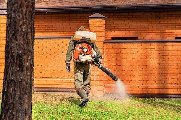Bed Bug Clearance Verification and Documentation in Cartersville